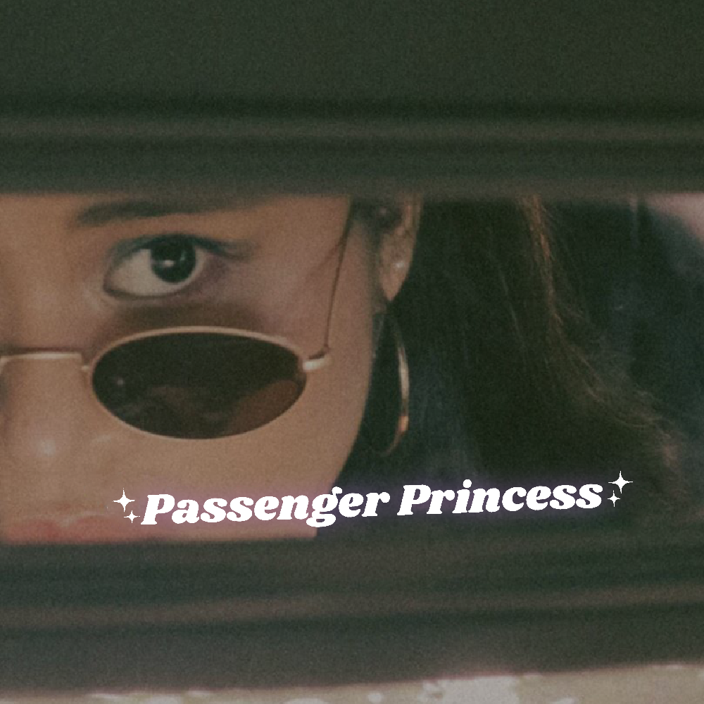Passanger Princess (v1) Mirror Decal